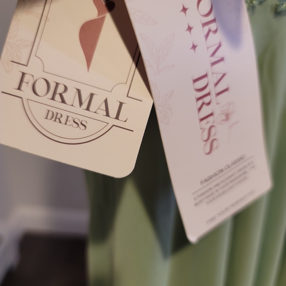 Elegant Light Green Gown with Lace Detail - Picture 2 of 5